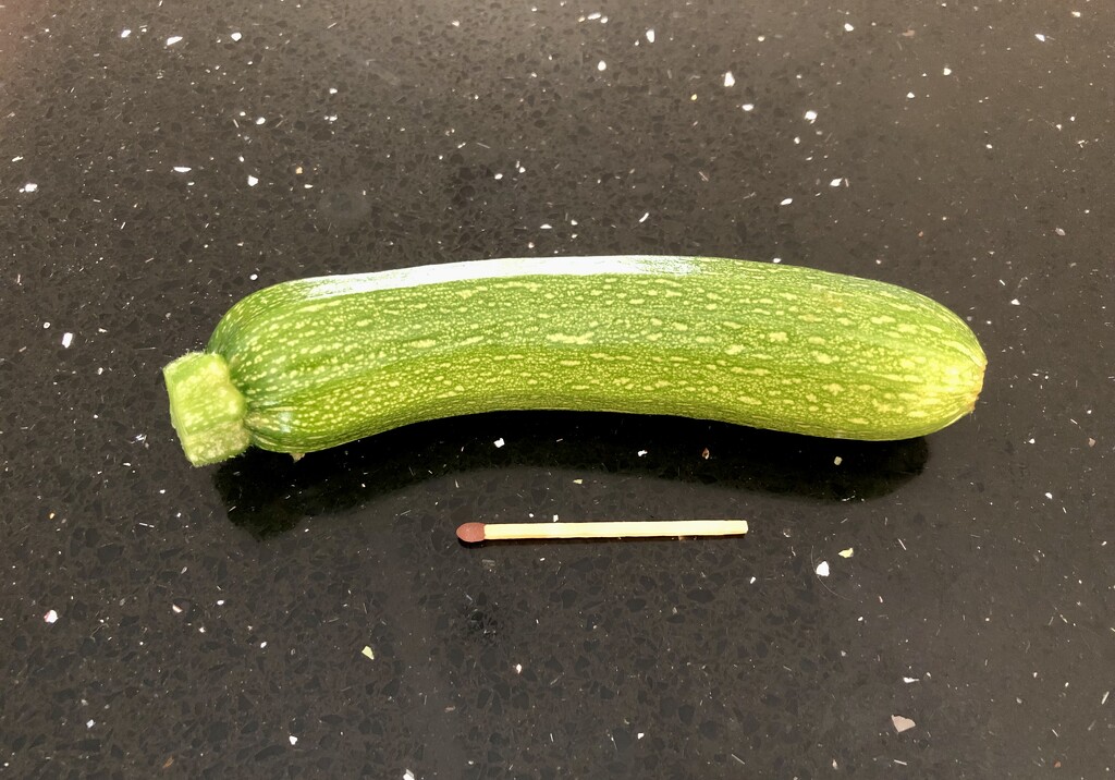 My 100th Courgette by susiemc