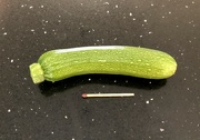 28th Oct 2022 - My 100th Courgette