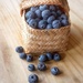 Basket of Berries  by salza