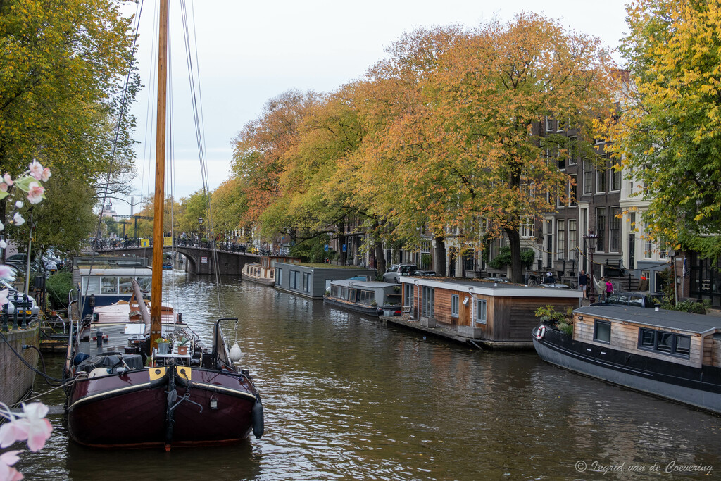 Canal in Amsterdam by ingrid01