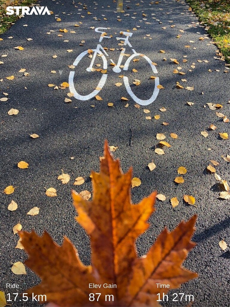 Bike Path by radiogirl