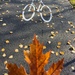 Bike Path by radiogirl