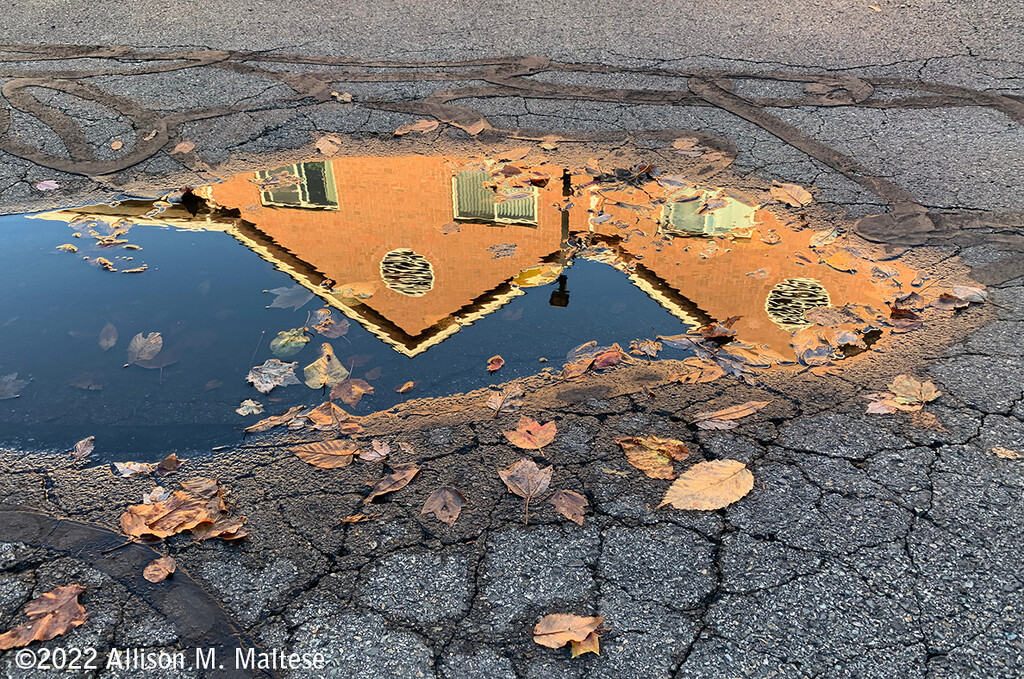 Puddle Puzzle by falcon11