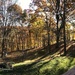  Backyard Panorama by pej76