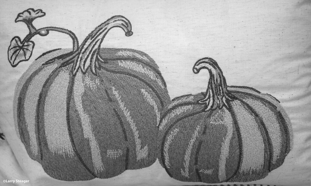 Pumpkin Pillow B&W by larrysphotos