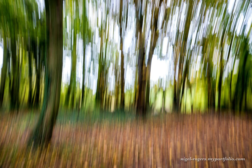 First attempt at ICM by nigelrogers