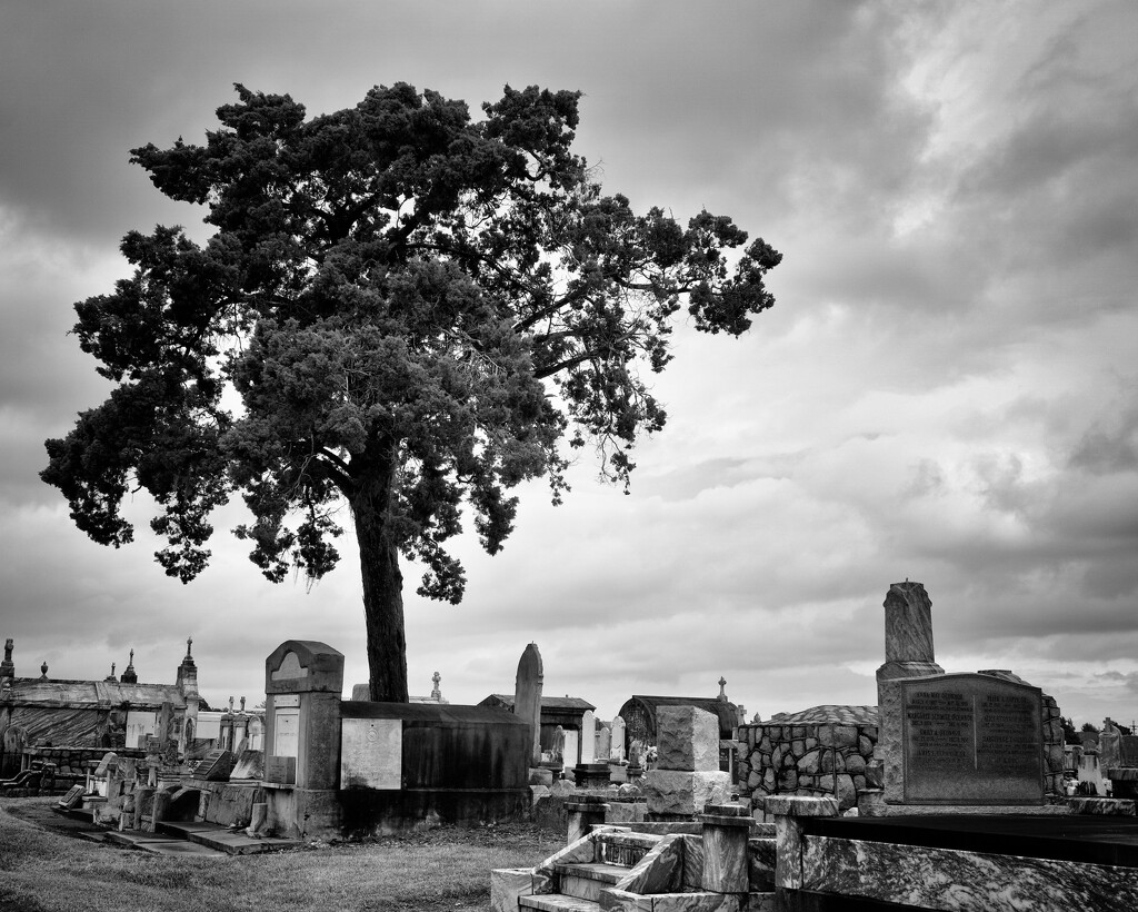 Greenlawn Cemetery by eudora