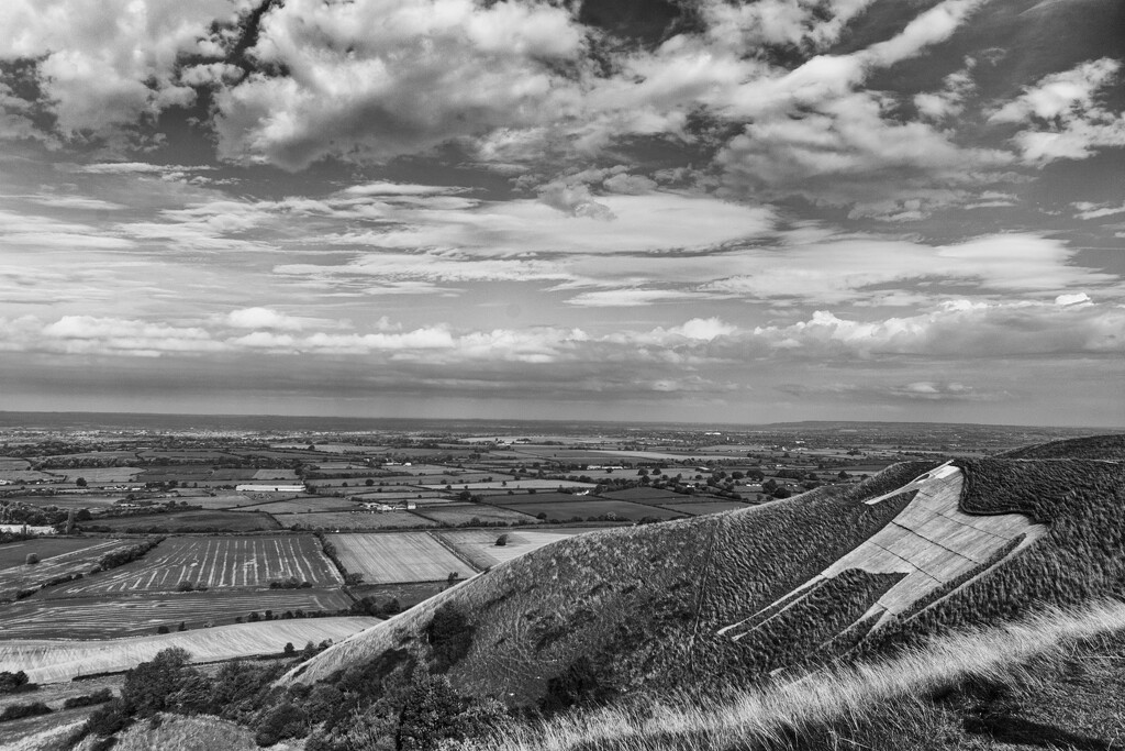 Westbury White Horse by rumpelstiltskin