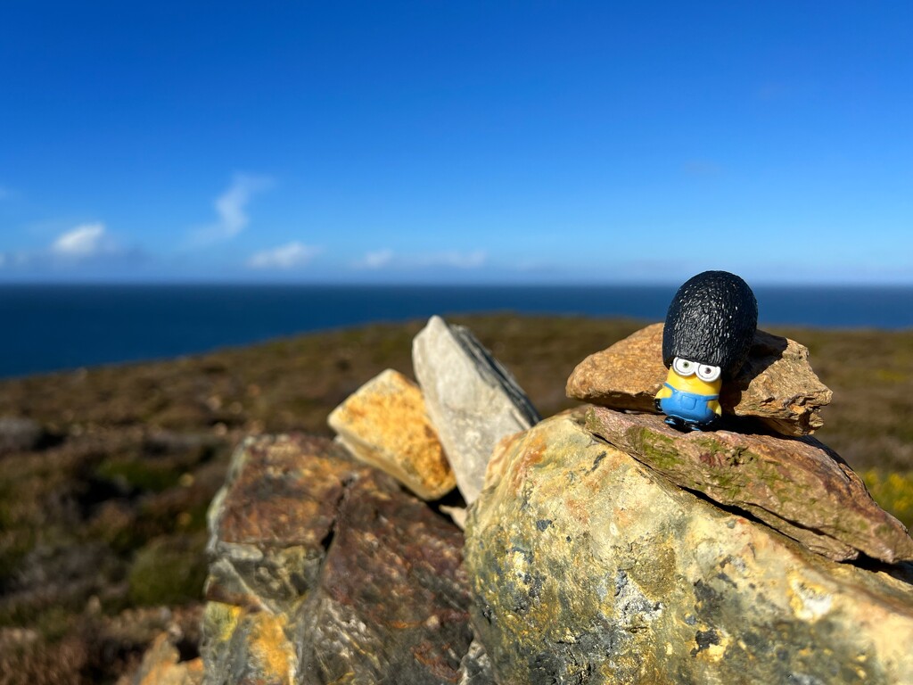 Minion on the coastal path  by gaillambert