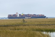 30th Oct 2022 - Are you waiting for something on this container ship?