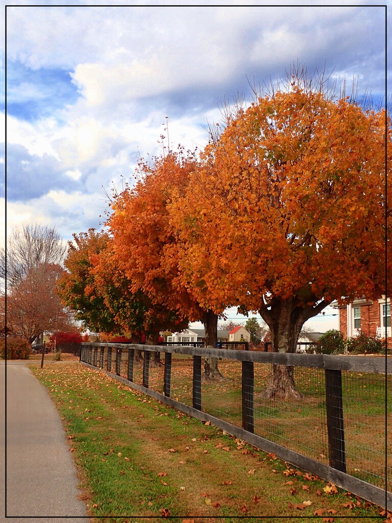 Autumn Comes to Clear Springs Drive by olivetreeann