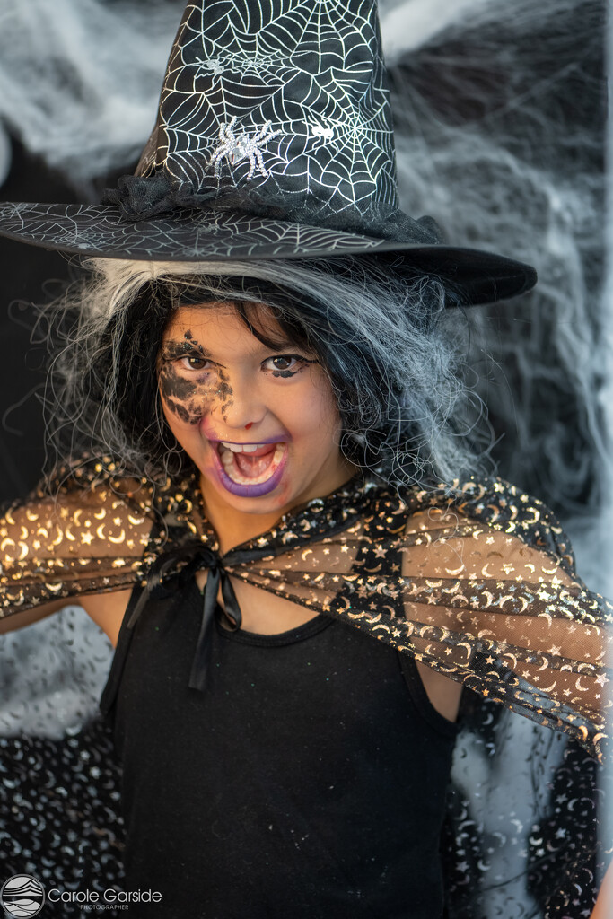 Halloween Witch by yorkshirekiwi