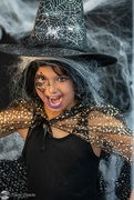 31st Oct 2022 - Halloween Witch