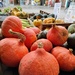 Squashes galore  by boxplayer