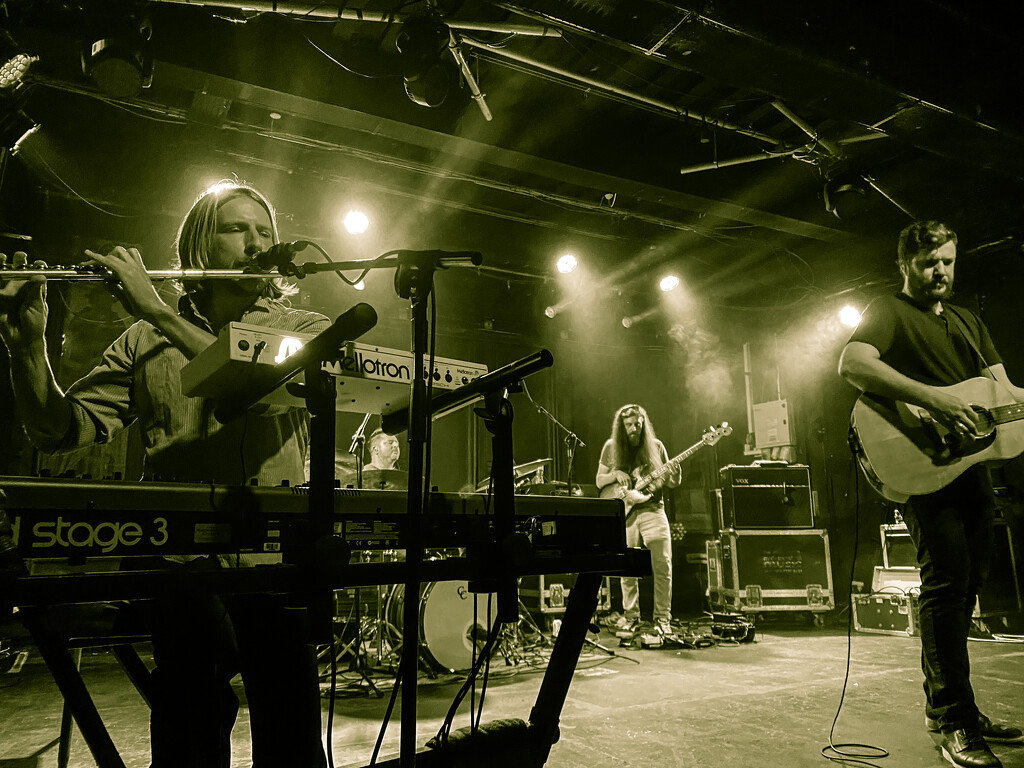 Midlake in concert by cam365pix