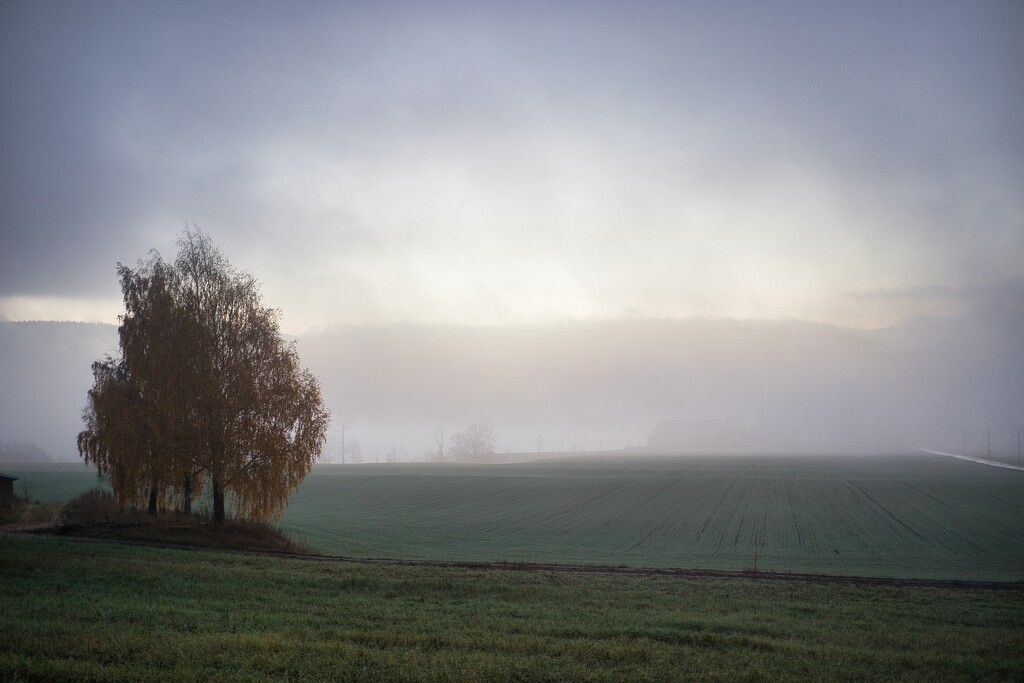 Fog is lifting by okvalle