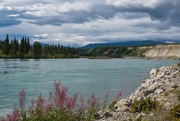 5th Aug 2022 - Yukon River at Whitehorse