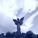 angel 2 by cam365pix