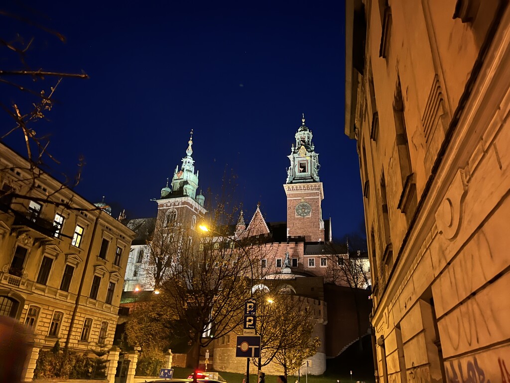 Krakow Castle by Night  by rensala