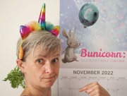1st Nov 2022 - Bunicorn: half bunny, half unicorn