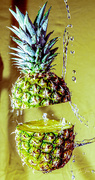 1st Nov 2022 - pineapple