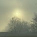 Morning fog by pennyrae