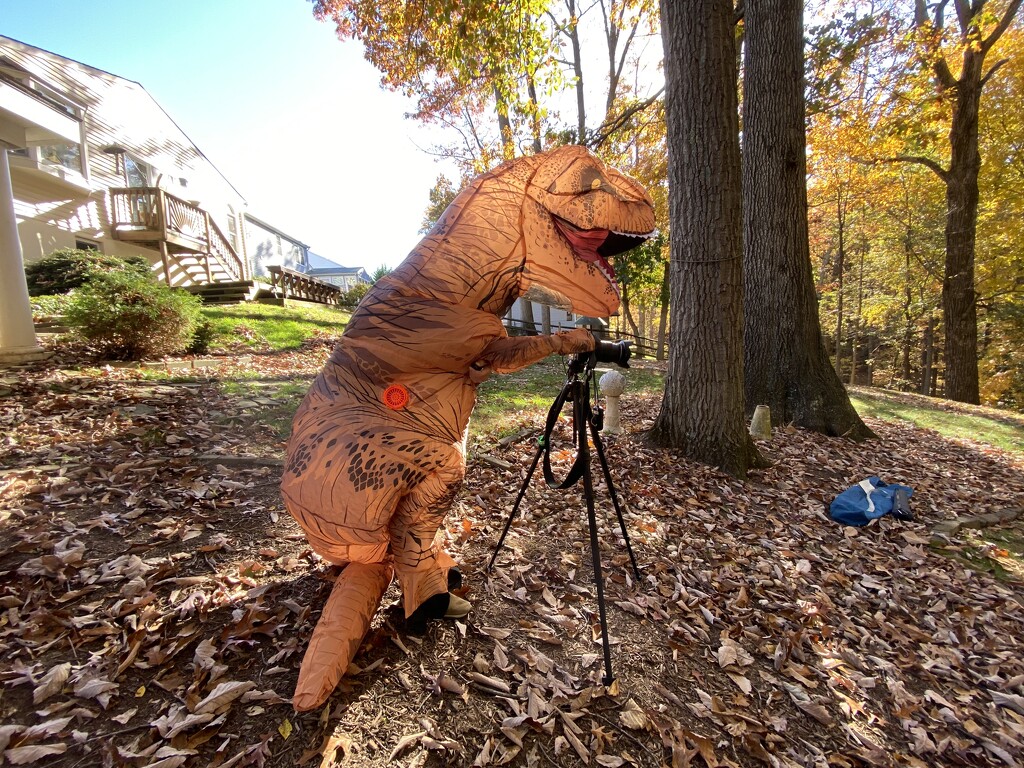 Dino Photog by lesip