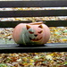 Pumpkin At Rest by davemockford