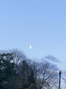 1st Nov 2022 - Half Moon in the Afternoon Sky