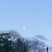 Half Moon in the Afternoon Sky by cataylor41