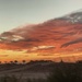 Arizona Evening Sunset by mamabec