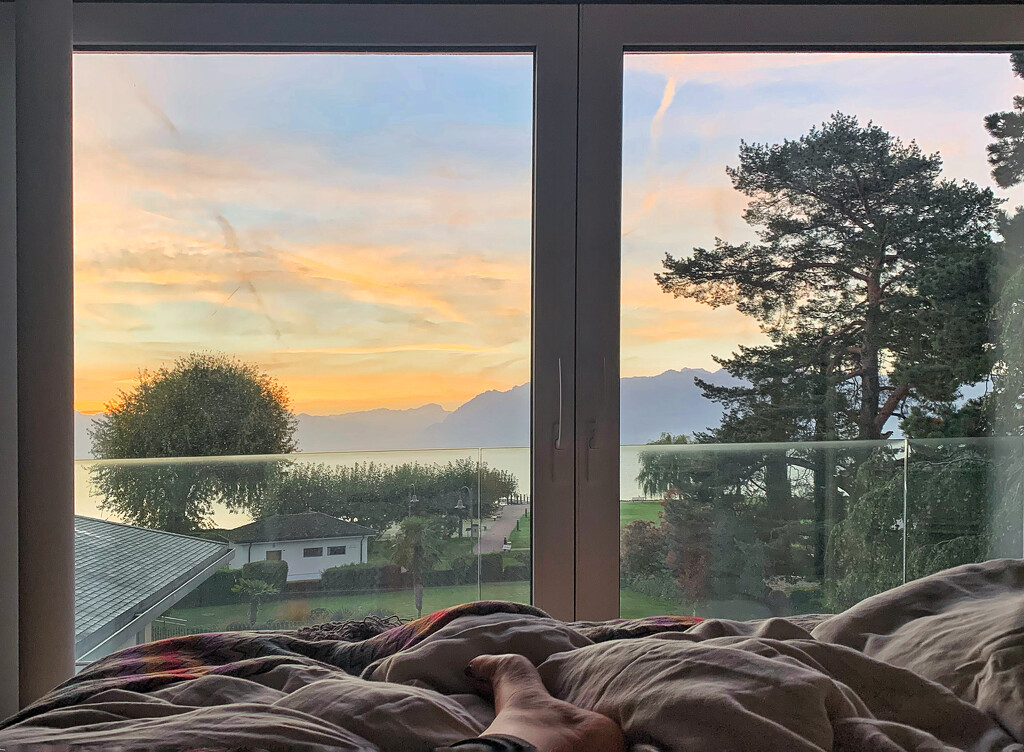 Wake up view.  by cocobella