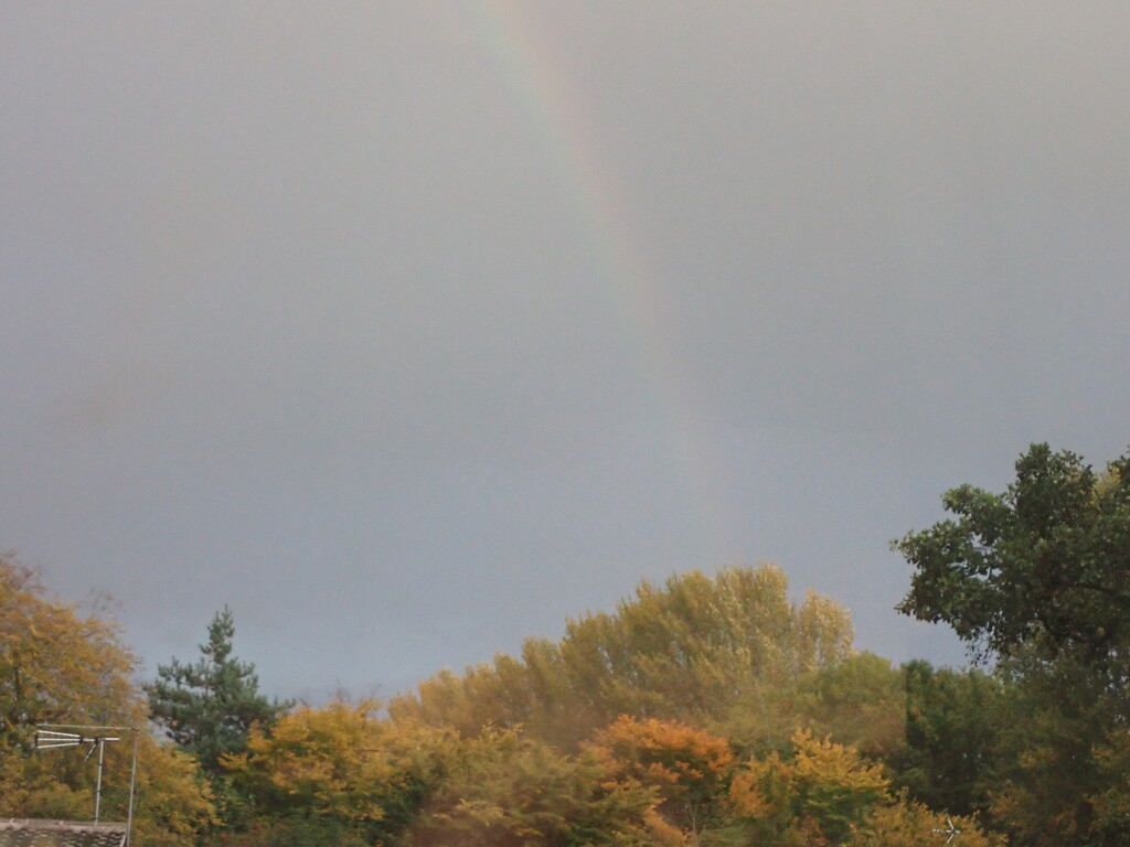 Rainbow and foliage by speedwell