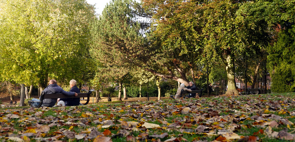 Autumn Parklife 2 by phil_howcroft