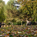 Autumn Parklife 2 by phil_howcroft