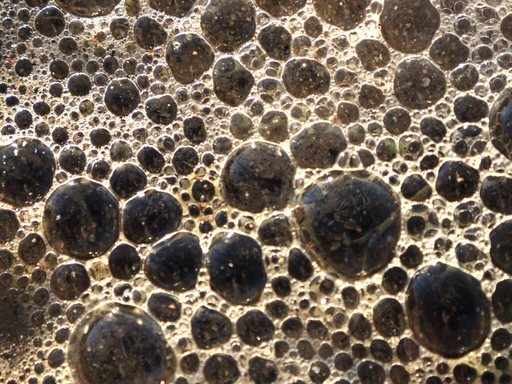 bubbles by edorreandresen