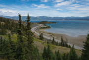 8th Aug 2022 - Slims River, Kluane National Park, Yukon