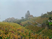 3rd Nov 2022 - Vineyards of Lavaux, Switzerland. 