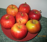 3rd Nov 2022 - Apples on a Saucer.
