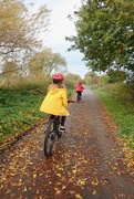 1st Nov 2022 - WHIZZING ALONG THE GREENWAY