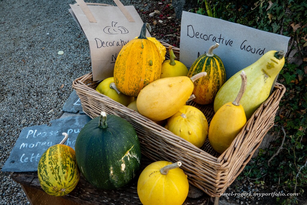 Gourds by nigelrogers