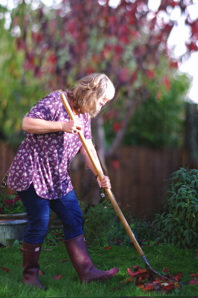 Gardening in Short Sleeves in November! by 30pics4jackiesdiamond