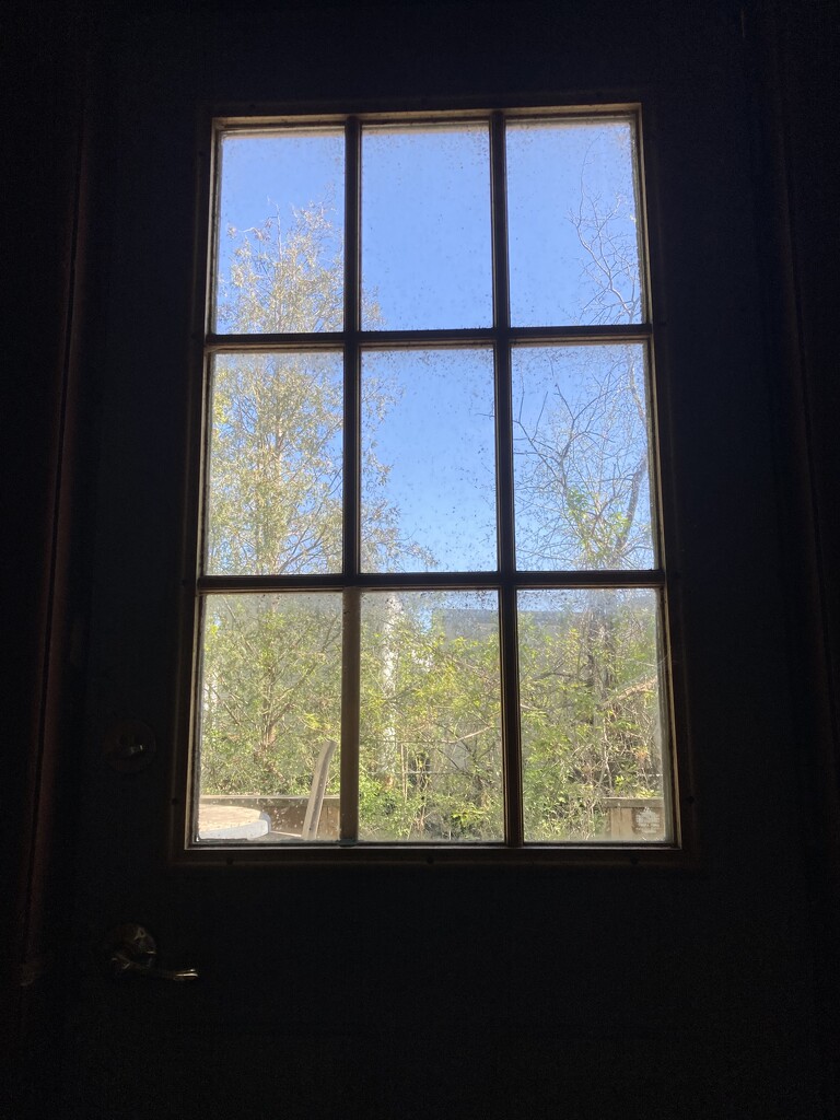 Window  by spanishliz