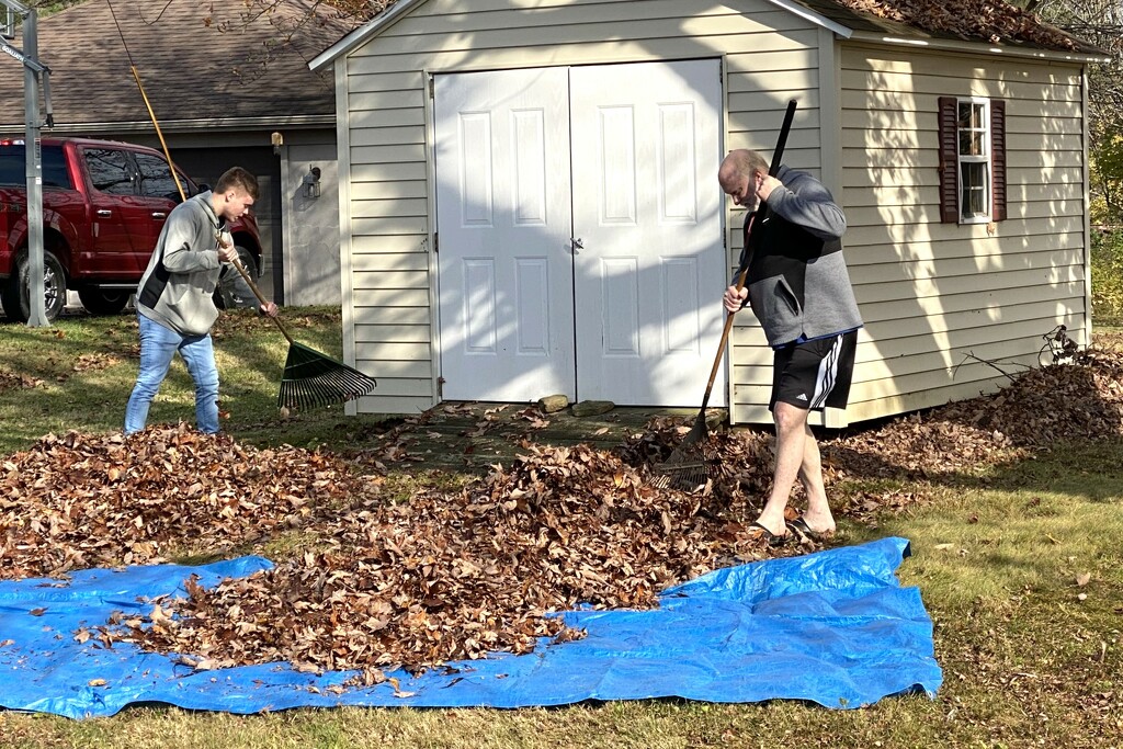 Son and grandson help with the leaves by tunia