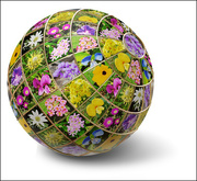 4th Nov 2022 - Flower Globe