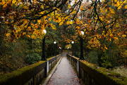 3rd Nov 2022 - A Beautiful Place for a Fall Walk