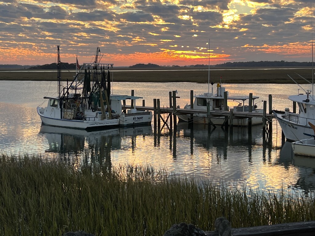 Shrimp boats at sunset by congaree
