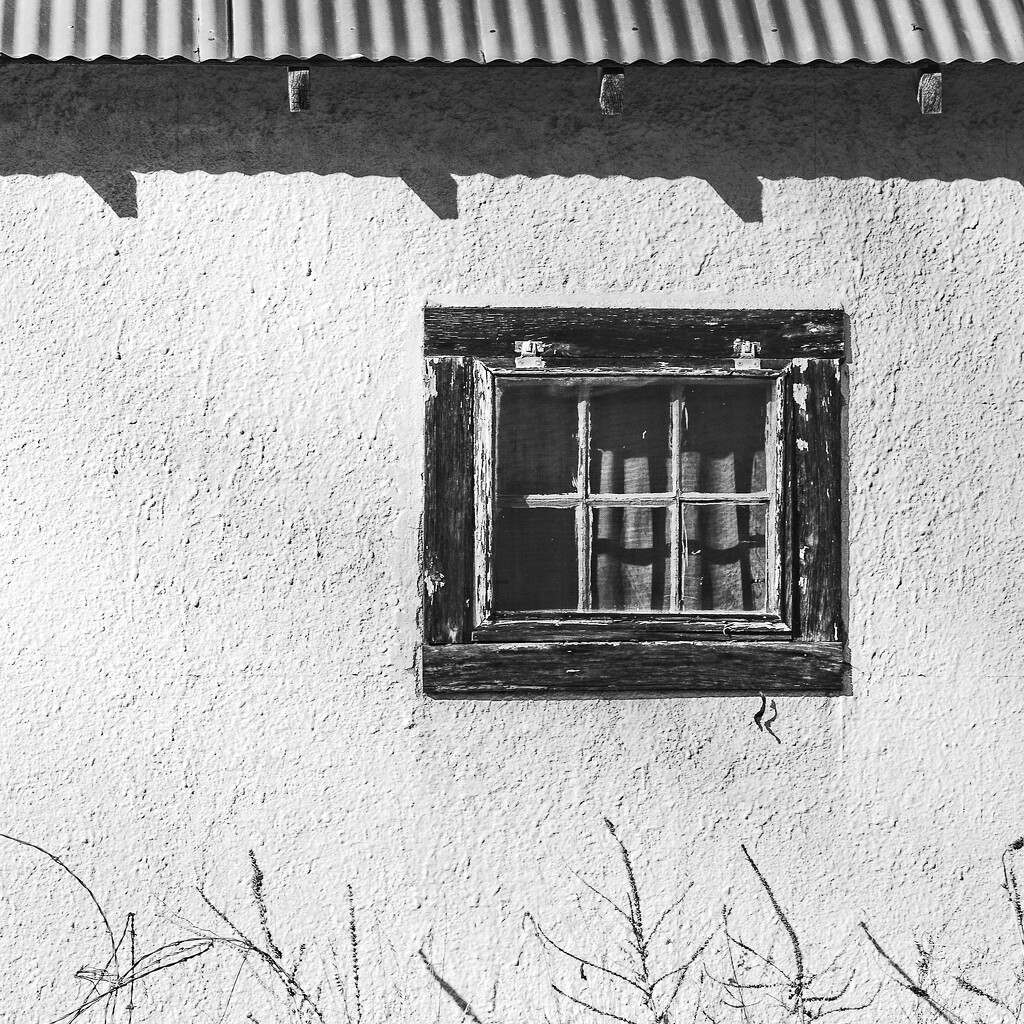 Window by pamalama