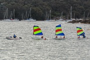 17th Oct 2022 - Sailing school. Sydney Harbour at Manly. 
