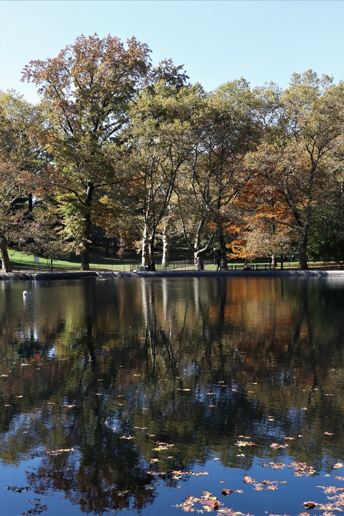 Autumn colours, blue sky and reflections - what more could you want? by 365jgh